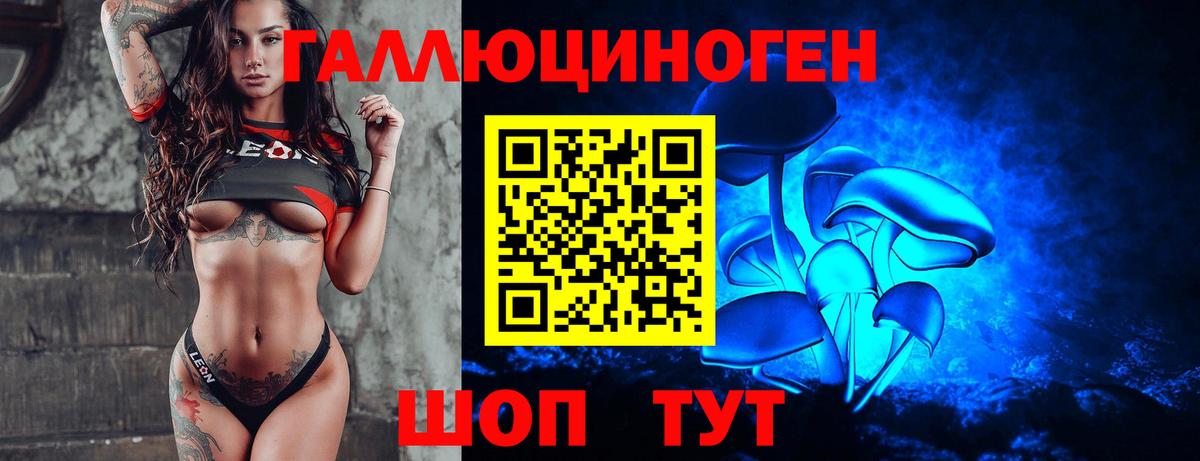Галлюциногенные грибы Magic Shrooms  Псилоцибиновые грибы MAGIC MUSHROOMS  Тверь  Вход с VPN 